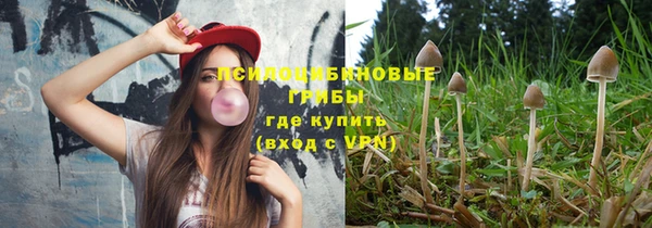 меф Богородицк
